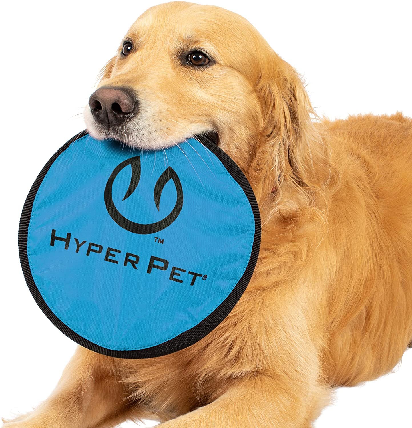Hyper Pet Flippy Flopper Dog Frisbee Interactive Dog Toys
